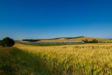 P6180573
