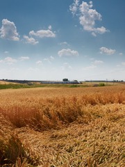 2013-07-21 13-36-48.jpg