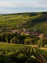 2013-08-24 19-20-22.jpg