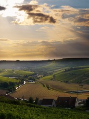 2013-08-24 19-29-32.jpg