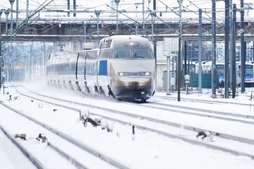 2010-12-19 12-56-05