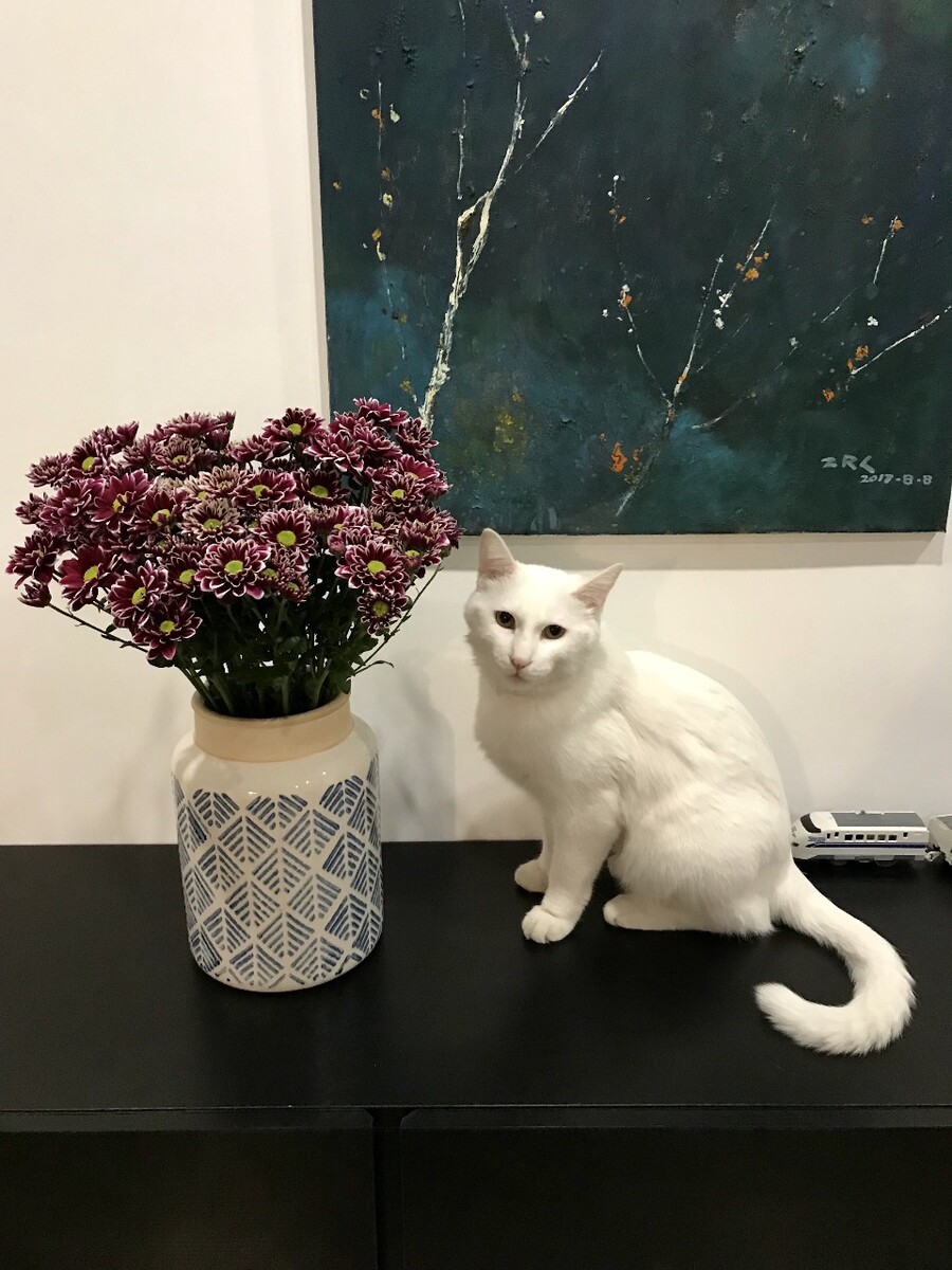 摆设花瓶什么意思