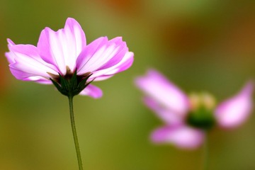 DSC09520.jpg