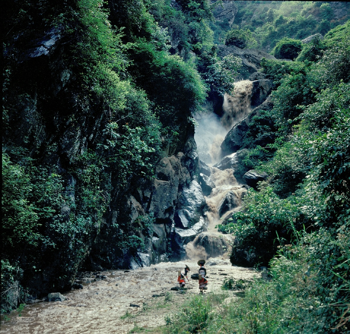 山高水长云南哀牢山
