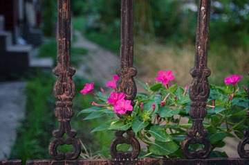 DSC_4140.jpg