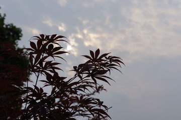DSC00077.JPG