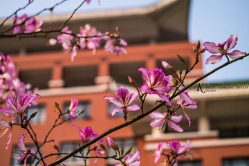 _1050023-1.jpg