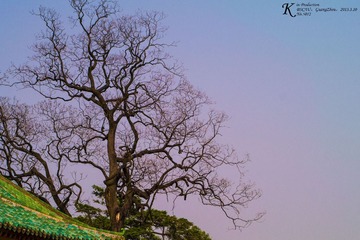 _1050012-1.jpg