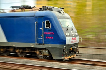 4556819