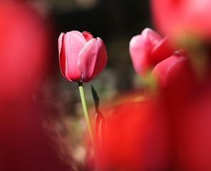 18CB3924-9BD7-4F85-AA6C-36B176A9479A