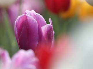 25D1B07B-4376-449C-ADB3-10264E511C6D