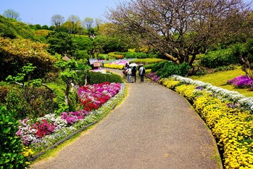 DSC00652.jpg
