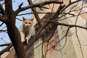 nex5c练习照片