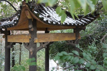 nex5c练习照片