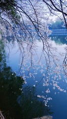 F539ED2B-37B9-49EB-9C5E-EDBBA4BC1A90/L0/001