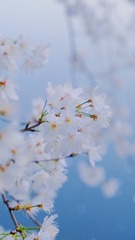 2D36998A-ED01-44A8-9018-F2D0AD8CA833/L0/001