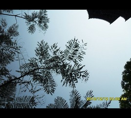 SAM_0686_副本.jpg