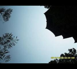 SAM_0687_副本.jpg