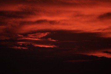0950DA8F-1510-4A1F-A832-8F14C60C99D8/L0/001