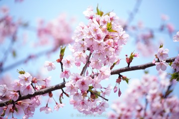 D767615E-C71F-4CD5-AC29-2F829602DA1A/L0/001