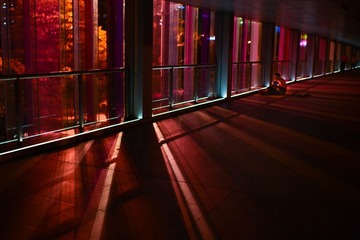 DSC_0679.jpg