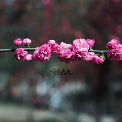 GG_MG_0540.jpg