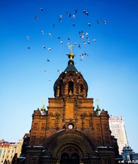 GGIMG_0227.jpg