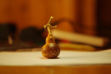 1185815