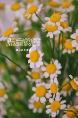 1E2B5DFD-2DC4-4494-85EF-E3933943635F/L0/001