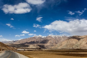 IMG_3201.jpg
