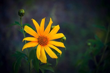 DSC_3822-编辑