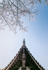 DSC_5243-HDR 拷贝xiao