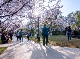 DSC_5240-HDR 拷贝xiao