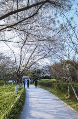 DSC_5205 拷贝xiao