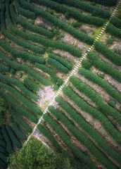 DJI_0707-HDR 拷贝