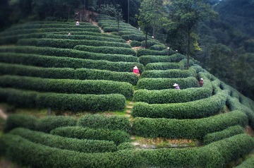 DJI_0722-HDR 拷贝