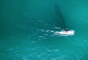 逐浪