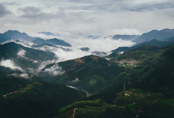 云上松阳