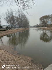 1000015264