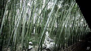 IMG_9378.jpg