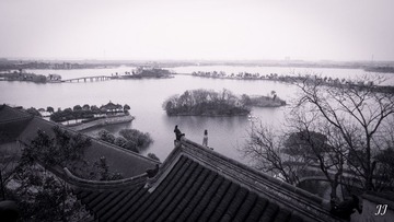 IMG_9335.jpg