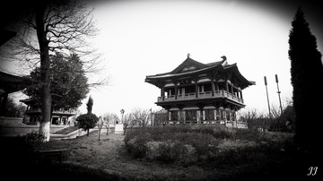 IMG_9245.jpg