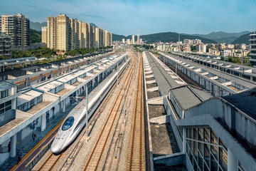 495331