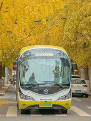 50A2A6D3-23F4-4F04-A57A-B4E9B60B84CF/L0/001