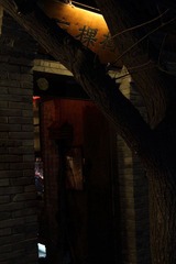 3 trees