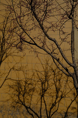 EFC4678B-B585-413A-A571-BFB32D335577/L0/001