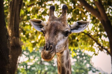 SAM_0427