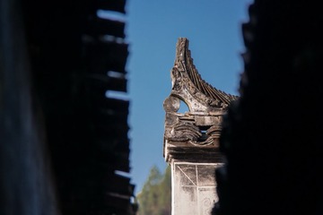 _SAM0063_调整大小