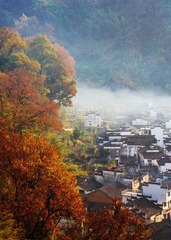 SAM_0641（18-55）_调整大小
