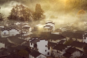 SAM_1694_调整大小